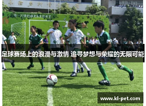 足球赛场上的浪漫与激情 追寻梦想与荣耀的无限可能