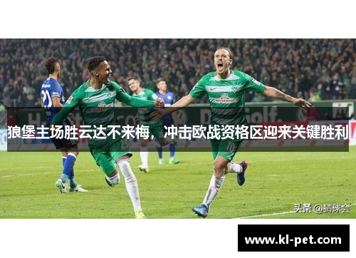 狼堡主场胜云达不来梅，冲击欧战资格区迎来关键胜利